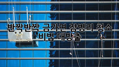 ✨반짝반짝✨ 금가면 잠병리 청소 비법 대방출! 🏡🧹