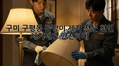 구미 구평동 곰팡이 제거 전문: 천연 제거제로 안전하게!